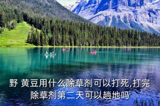 黃豆剛結(jié)痂打什么農(nóng)藥
