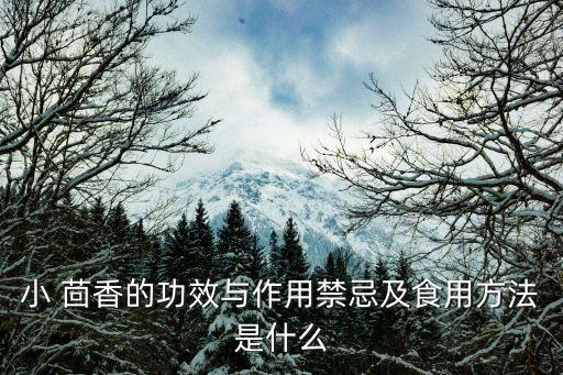 茶茴香怕什么農藥,茴香拌餡最怕什么