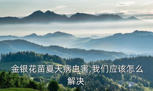  金銀花苗夏天病蟲害,我們應該怎么解決