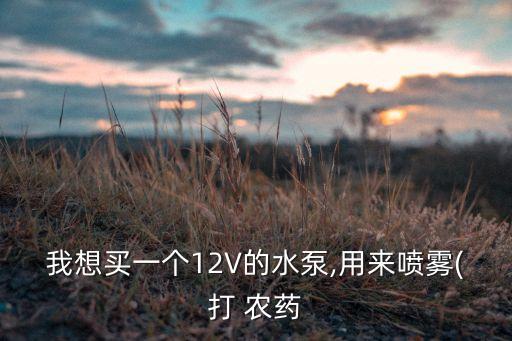 我想買一個12V的水泵,用來噴霧(打 農藥