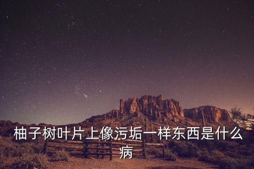 柚子樹用什么農(nóng)藥殺蟲,蔬菜打什么農(nóng)藥殺蟲