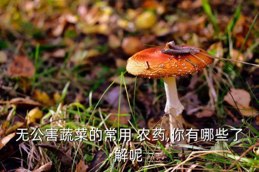 蔬萊殺蟲什么農(nóng)藥好,殺蟲雙可以配什么農(nóng)藥