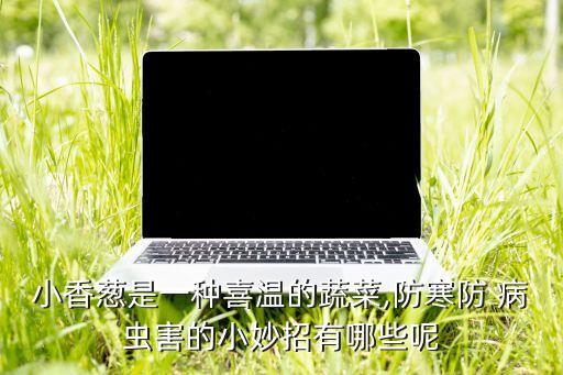 小香蔥是一種喜溫的蔬菜,防寒防 病蟲害的小妙招有哪些呢
