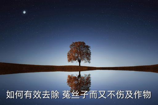 菟絲子怎么用什么農(nóng)藥好,什么農(nóng)藥可以殺死菟絲子