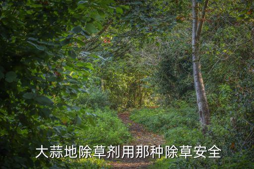 大蒜用藥前用什么農藥,現在大蒜打什么農藥好