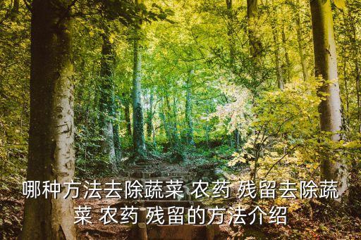 通過什么可以減少農藥殘留,什么可以減少食品中的農藥殘留