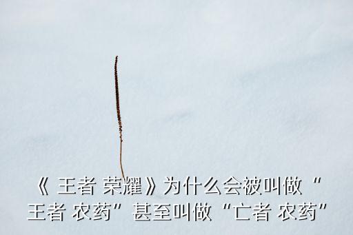 王者榮耀農藥是什么樣的,山寨版王者榮耀王者農藥下載