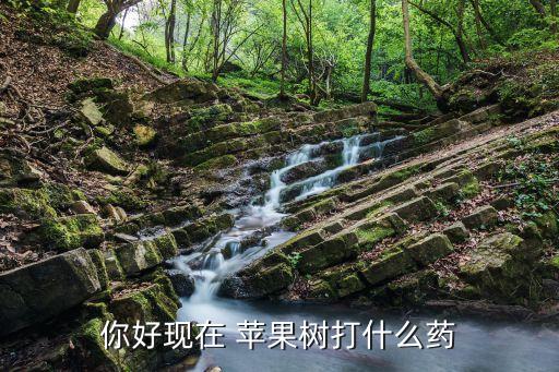 蘋果樹都噴撒什么農(nóng)藥