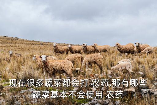 現在很多蔬菜都會打 農藥,那有哪些蔬菜基本不會使用 農藥
