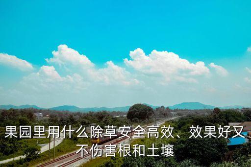 香頭草用什么農藥好,什么農藥能把草徹底殺死
