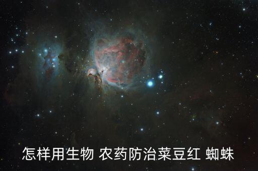 菜地的小蜘蛛用什么農藥,蜘蛛用什么農藥可以殺死