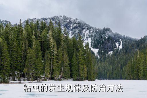 黏蟲用什么農藥,什么動物吃黏蟲