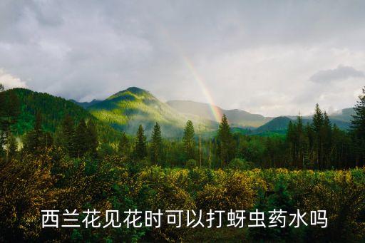  西蘭花見花時可以打蚜蟲藥水嗎