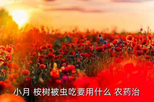 小月 桉樹被蟲吃要用什么 農藥治