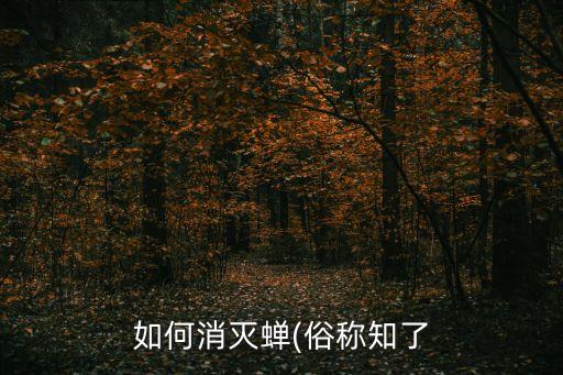 如何消滅蟬(俗稱知了