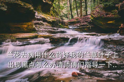 ,蘭花有黑斑點(diǎn)冶什么農(nóng)藥