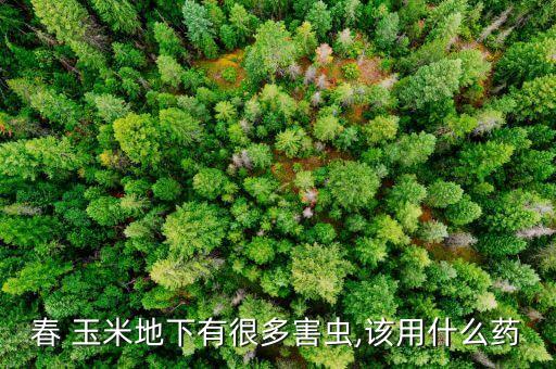 玉米芯蟲用什么農藥