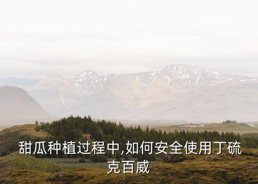  甜瓜種植過(guò)程中,如何安全使用丁硫克百威