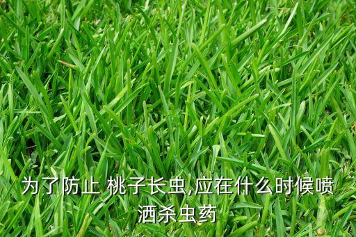 為了防止 桃子長蟲,應(yīng)在什么時候噴灑殺蟲藥