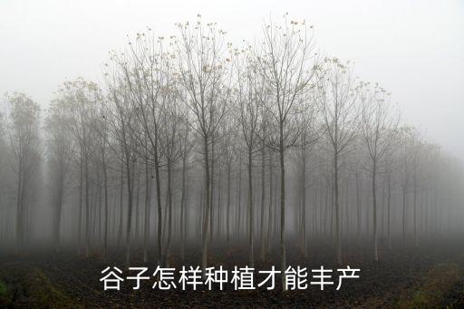 谷子怎樣種植才能豐產