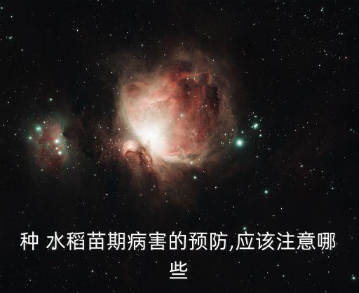 種 水稻苗期病害的預防,應該注意哪些