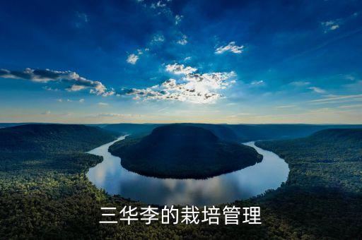 三華李的栽培管理