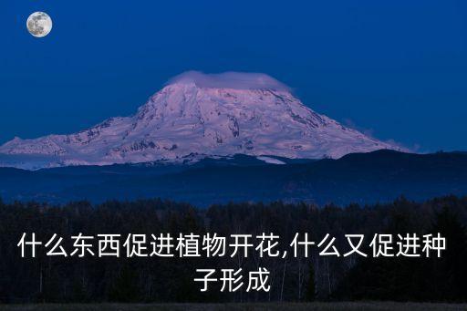 農藥pp333是什么藥,農藥PP333的通用名稱