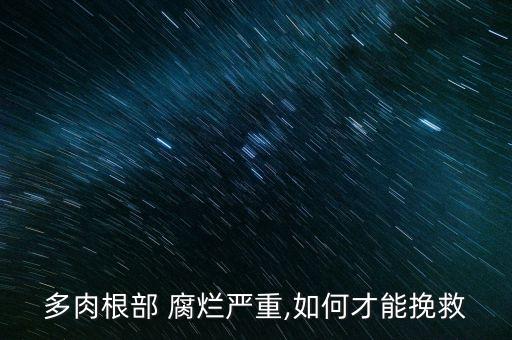 花卉腐爛病用什么農藥,冶腐爛病什么農藥好