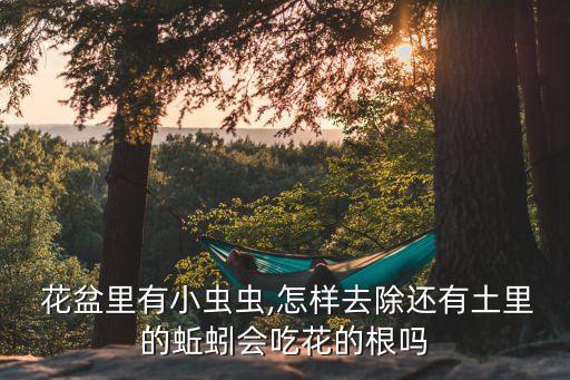  花盆里有小蟲蟲,怎樣去除還有土里的蚯蚓會吃花的根嗎
