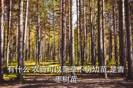 有什么 農藥可以除草不傷幼苗,是青棗樹苗