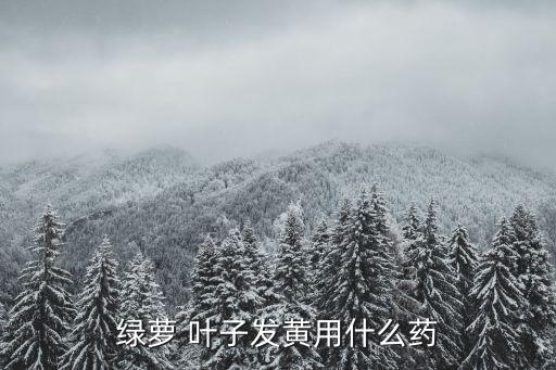 綠蘿 葉子發黃用什么藥