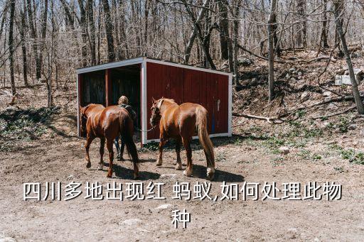 紅螞蟻用什么農(nóng)藥,被紅螞蟻咬了會(huì)出現(xiàn)什么癥狀