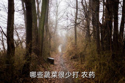 哪些蔬菜很少打 農藥