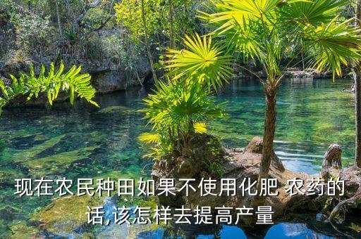 用什么代替農藥種植水稻,水稻不用農藥怎樣種植