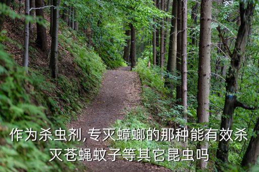 作為殺蟲劑,專滅蟑螂的那種能有效殺滅蒼蠅蚊子等其它昆蟲嗎