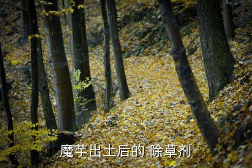 魔芋出土后的 除草劑