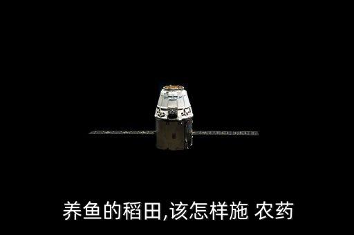  養魚的稻田,該怎樣施 農藥