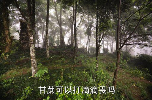  甘蔗可以打滴滴畏嗎