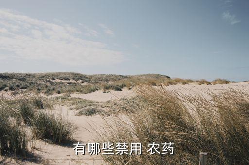白菜不能使用什么農(nóng)藥,白菜上有蟲(chóng)用什么農(nóng)藥效果好