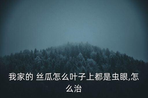 我家的 絲瓜怎么葉子上都是蟲眼,怎么治