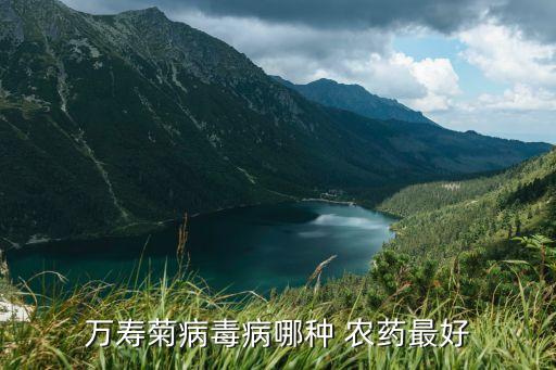 花卉病害用什么農(nóng)藥好,引起花卉病害的原因稱為什么