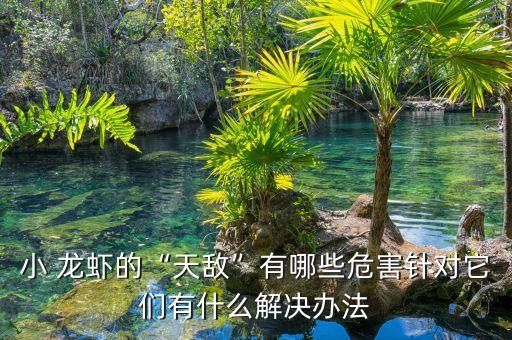 小 龍蝦的“天敵”有哪些危害針對它們有什么解決辦法