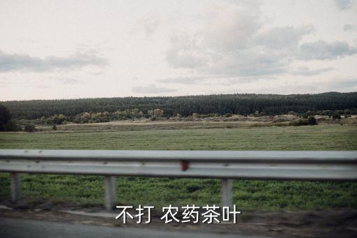 不打 農藥茶葉