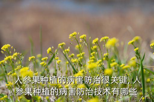  人參果種植的病害防治很關鍵, 人參果種植的病害防治技術有哪些