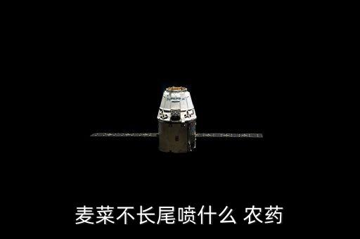 麥菜不長(zhǎng)尾噴什么 農(nóng)藥