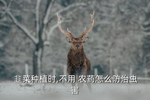 ,韭菜跟怕碰到什么農藥死掉