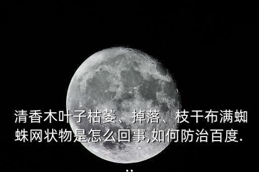  清香木葉子枯萎、掉落、枝干布滿蜘蛛網(wǎng)狀物是怎么回事,如何防治百度...