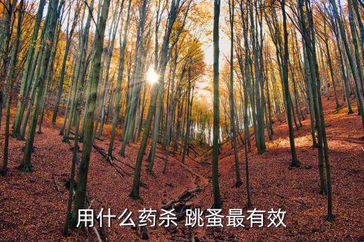 用什么農藥洗跳蚤,什么農藥對跳蚤最有效