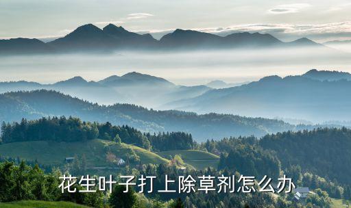 花生燒苗噴灑什么農藥