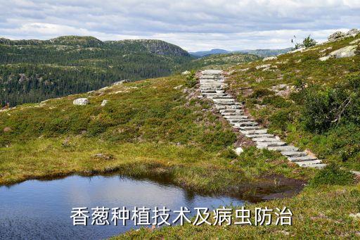 香蔥灰霉病用什么農藥,灰霉病用什么農藥最好